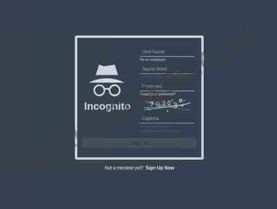 Incognito darknet Market Link
